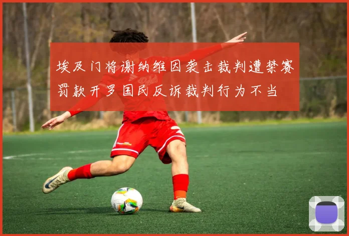 埃及门将谢纳维因袭击裁判遭禁赛罚款开罗国民反诉裁判行为不当